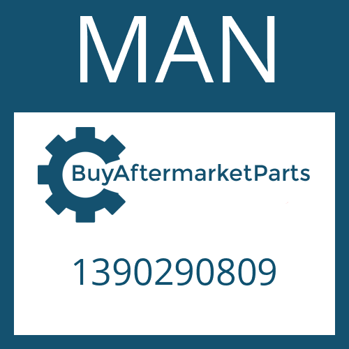MAN 1390290809 - Part