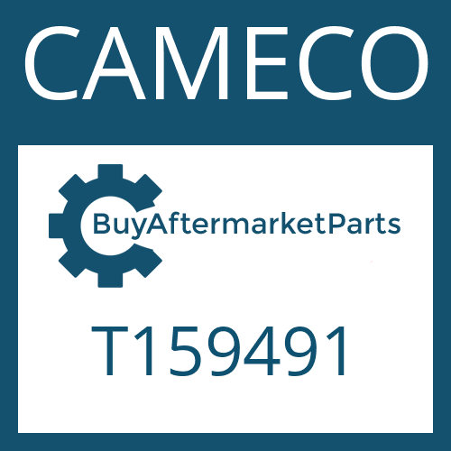 CAMECO T159491 - O-RING