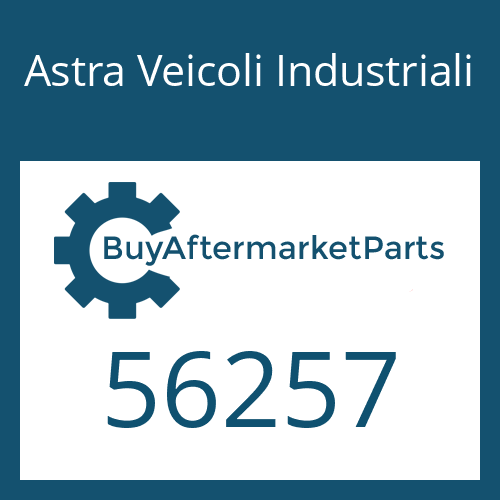 Astra Veicoli Industriali 56257 - PROTECTION CAP