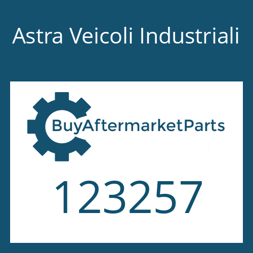 Astra Veicoli Industriali 123257 - GASKET