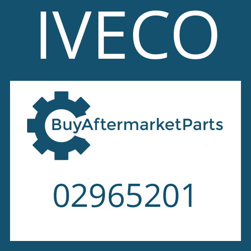 02965201 IVECO O-RING