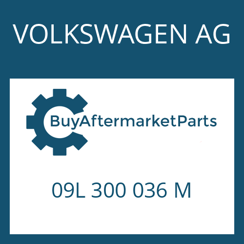 VOLKSWAGEN AG 09L 300 036 M - 6 HP 19 A SW