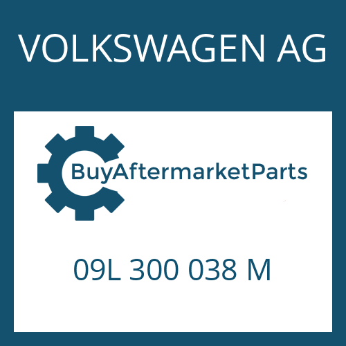 09L 300 038 M VOLKSWAGEN AG 6 HP 19 A SW
