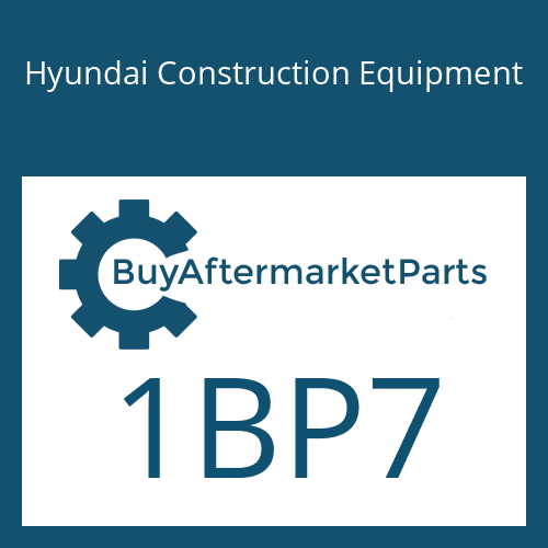 Hyundai Construction Equipment 1BP7 - O-RING