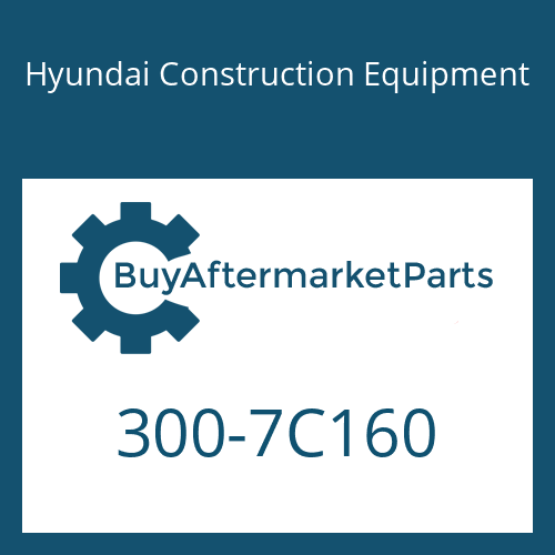 Hyundai Construction Equipment 300-7C160 - SLIDING-INNER