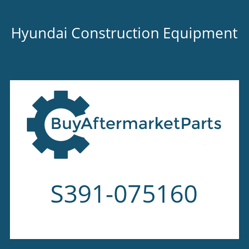 Hyundai Construction Equipment S391-075160 - SHIM-ROUND 1.0