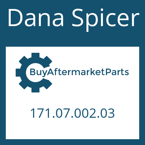   Intermediate Brake Disc