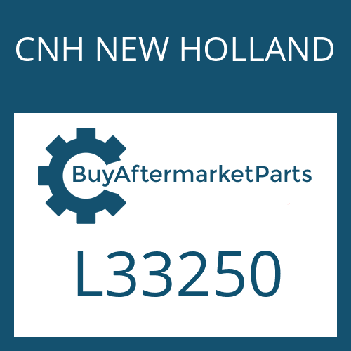CNH NEW HOLLAND L33250 - THRST WASHER