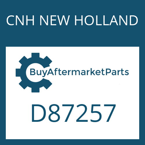 CNH NEW HOLLAND D87257 - SNAP RING