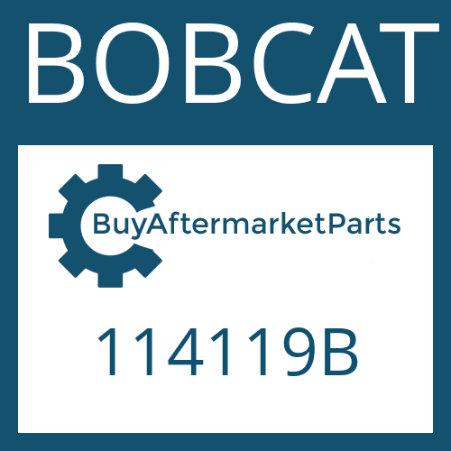 BOBCAT 114119B - T CAP ASY