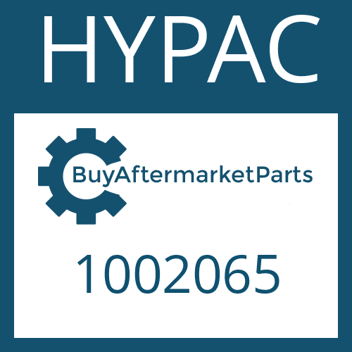 HYPAC 1002065 - FILTER
