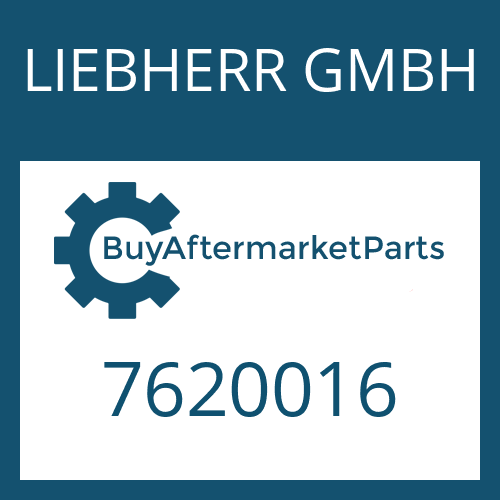 LIEBHERR GMBH 7620016 - REP KIT