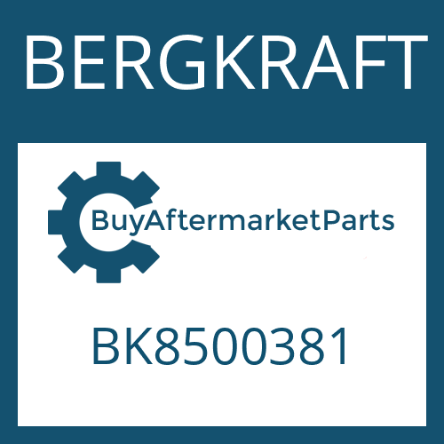 BERGKRAFT BK8500381 - U-JOINT-KIT