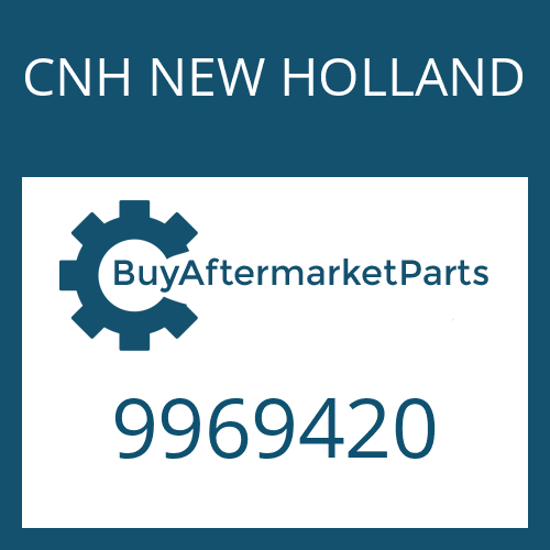 CNH NEW HOLLAND 9969420 - O RING