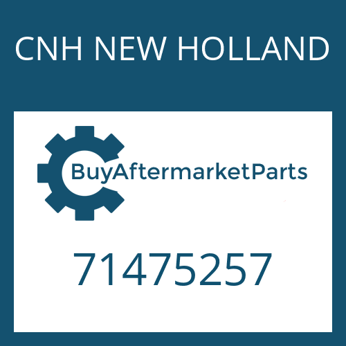 CNH NEW HOLLAND 71475257 - FRICTION WASHER