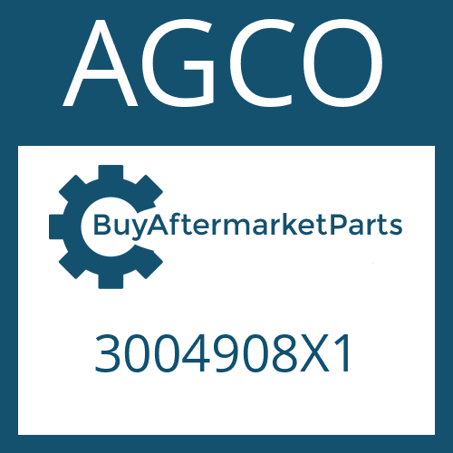 3004908X1 AGCO O - RING