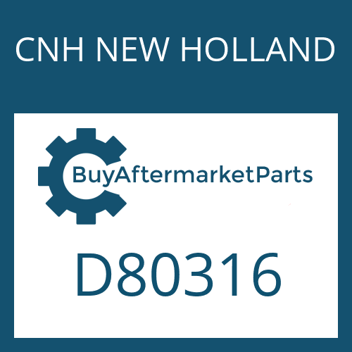 CNH NEW HOLLAND D80316 - BACKING RING