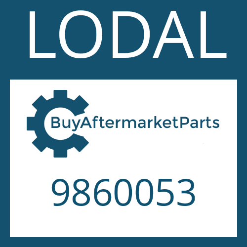 LODAL 9860053 - WASHER (SPECIAL) 25/64 "