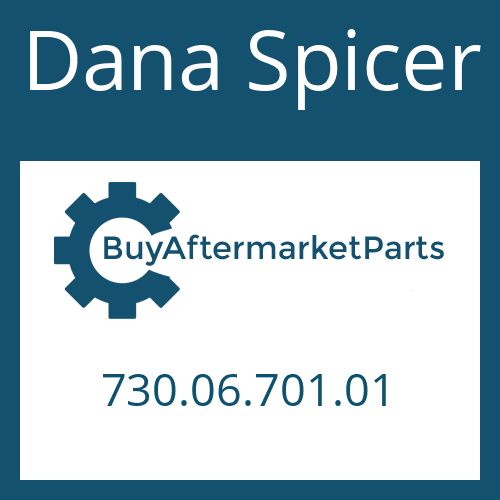Dana Spicer 730.06.701.01 - PLANET GEAR CARRIER