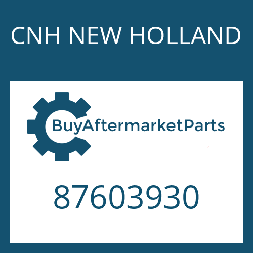 CNH NEW HOLLAND 87603930 - END PLATE + SEAL ASSY