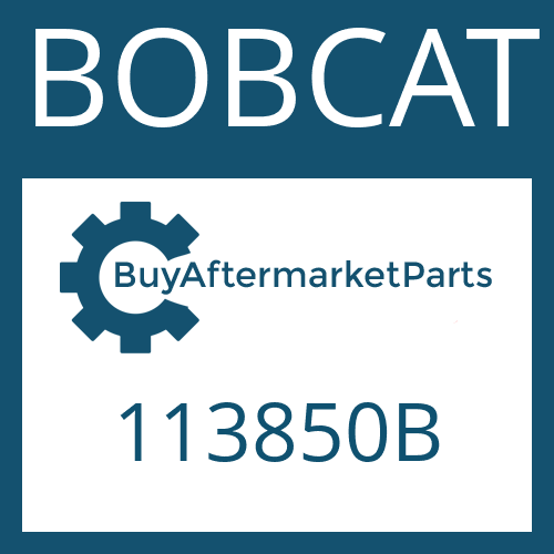 113850B BOBCAT Gear, pinion and nut kit