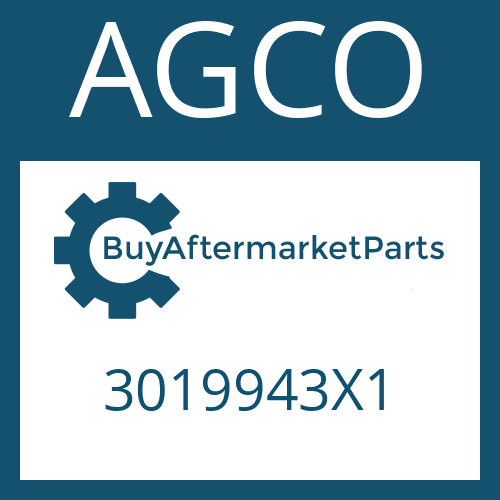 AGCO 3019943X1 - BACK - UP RING