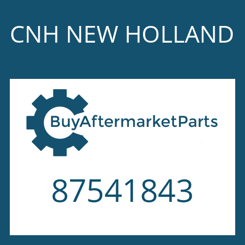 CNH NEW HOLLAND 87541843 - CYLINDER