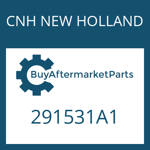291531A1 CNH NEW HOLLAND SPRING