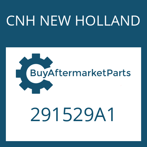 CNH NEW HOLLAND 291529A1 - SPACER