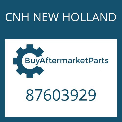 CNH NEW HOLLAND 87603929 - END PLATE