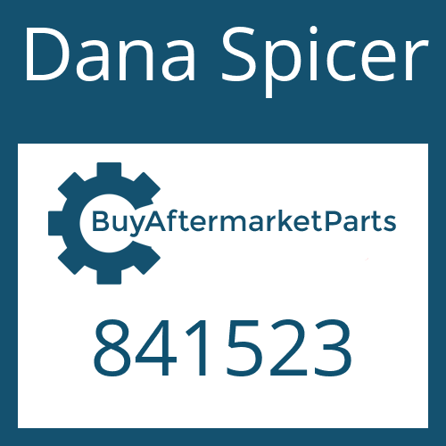   Brake Spring PI