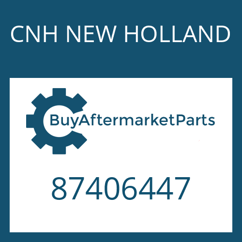 CNH NEW HOLLAND 87406447 - THRUST WASHER