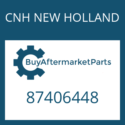 CNH NEW HOLLAND 87406448 - Thrust Washer (25 Per)