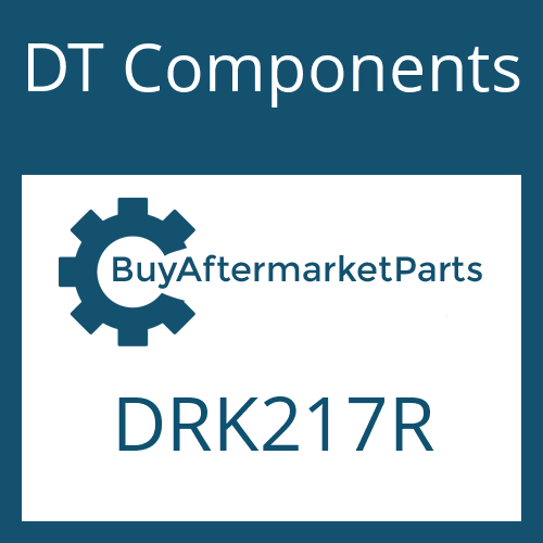 DT Components DRK217R - BEARING AND SEAL KIT