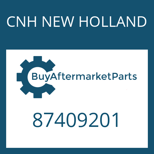 CNH NEW HOLLAND 87409201 - BACKING RING