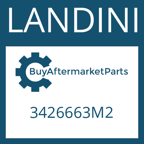 LANDINI 3426663M2 - STEERING CASE