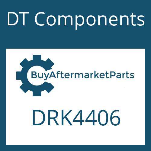 DT Components DRK4406 - BEARING AND SEAL KIT