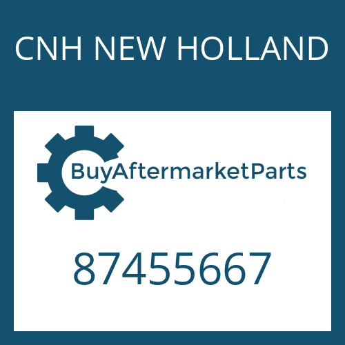 CNH NEW HOLLAND 87455667 - RINGS RETAININGS