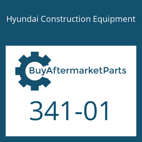 Hyundai Construction Equipment 341-01 - TUBE-CYL