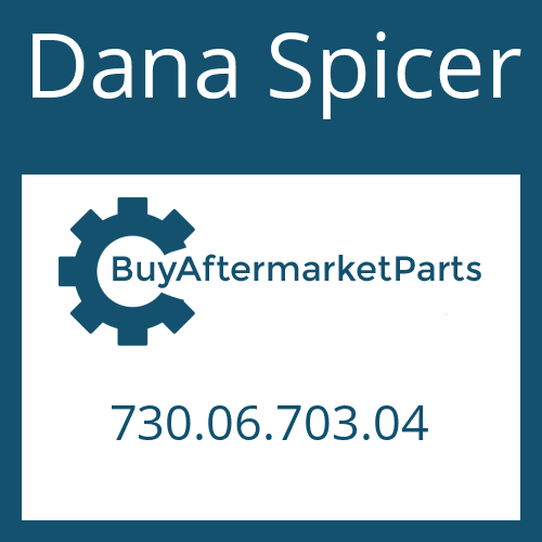 Dana Spicer 730.06.703.04 - PLANET PINION KIT