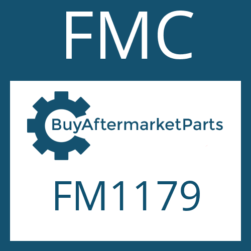 FMC FM1179 - FRICTION PLATE