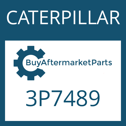   Friction Plate