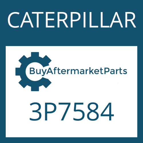   Friction Plate