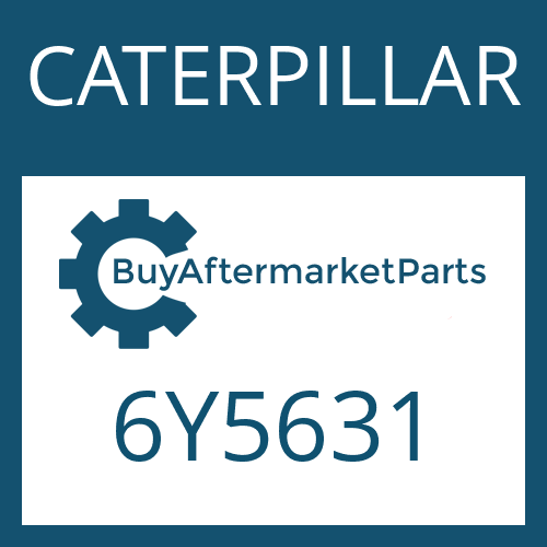   Friction Plate