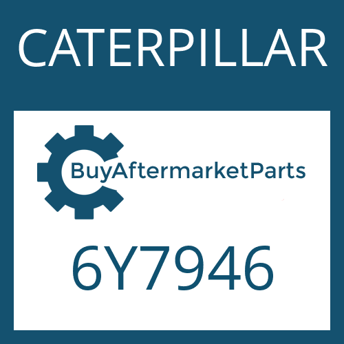   Friction Plate