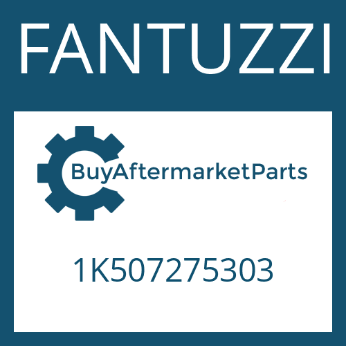 FANTUZZI 1K507275303 - FRICTION PLATE