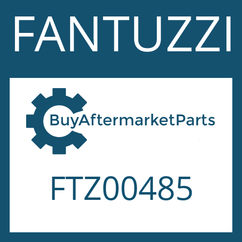 FTZ00485 FANTUZZI FRICTION PLATE