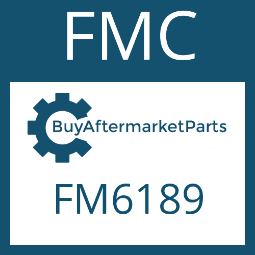 FMC FM6189 - FRICTION PLATE