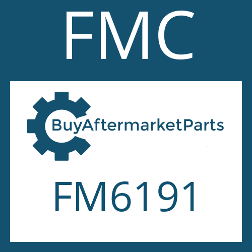 FMC FM6191 - FRICTION PLATE