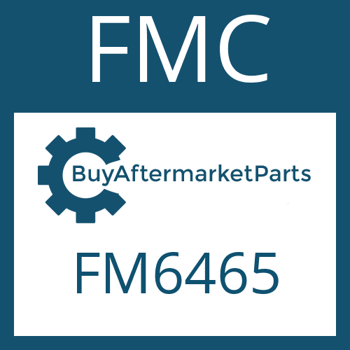 FMC FM6465 - FRICTION PLATE